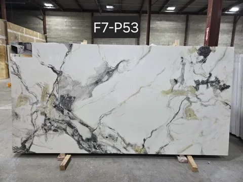F7-P53 F7-P53